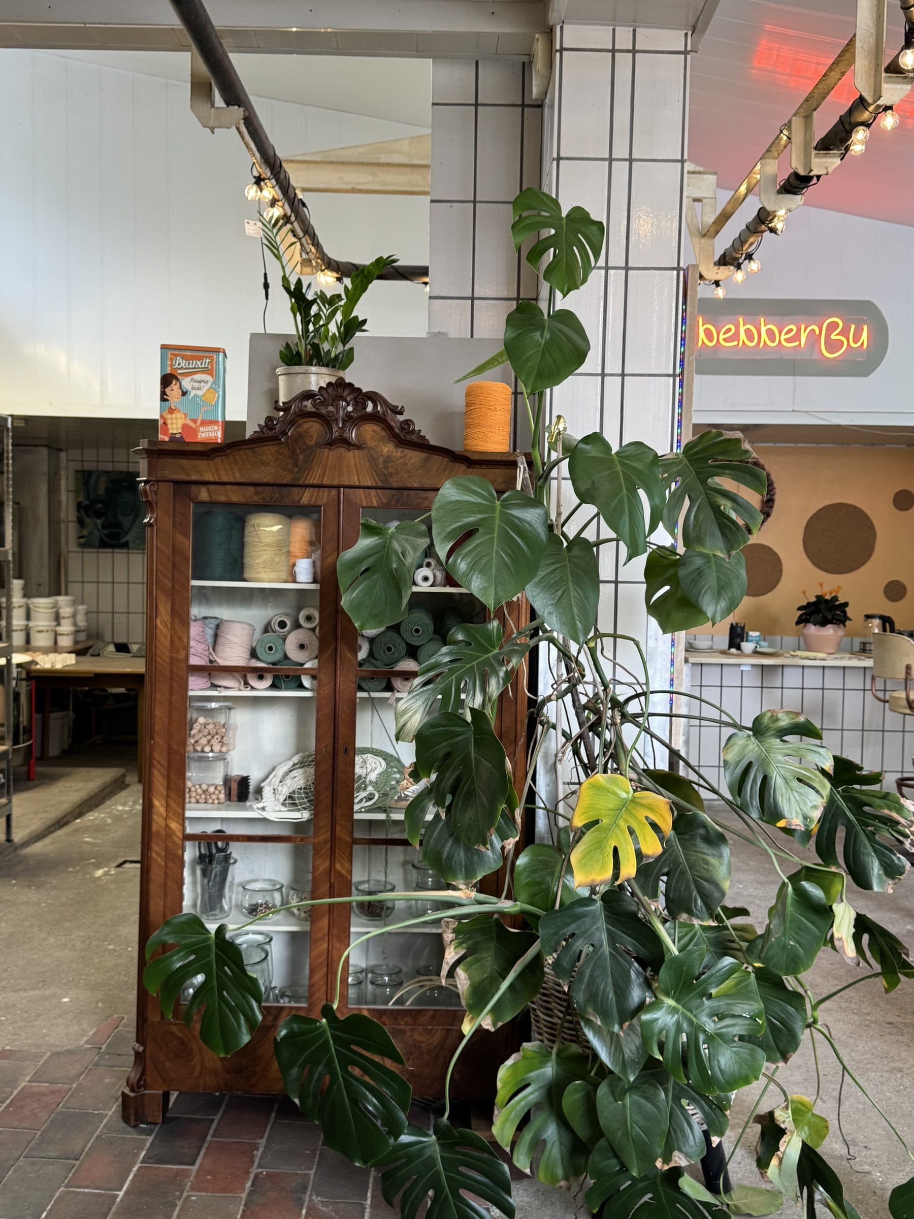 Vitrinenschrank mit Keramik und große Monstera vor dem leuchtenden bebberBu-Schriftzug